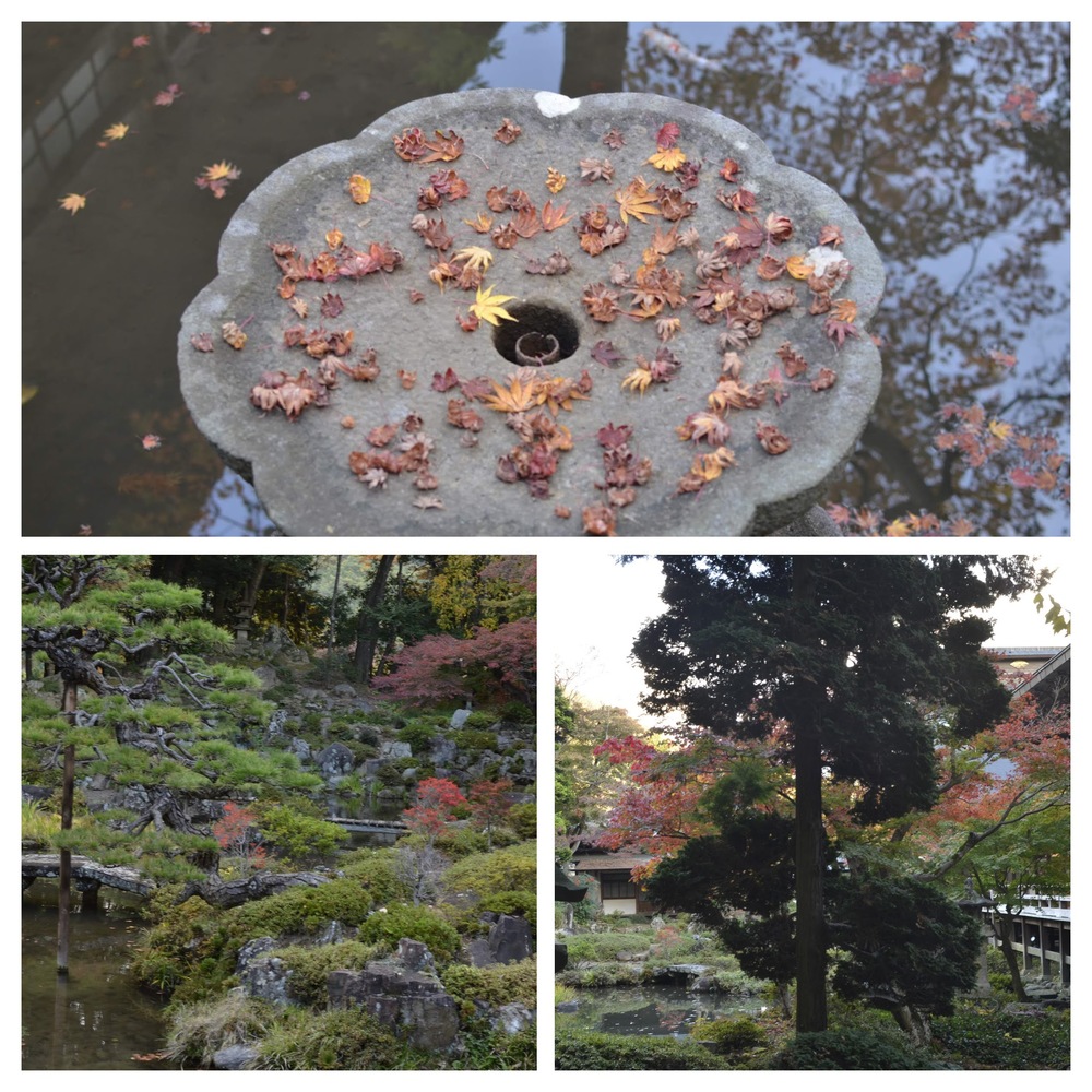 Garden that can be viewed from inside Erinji