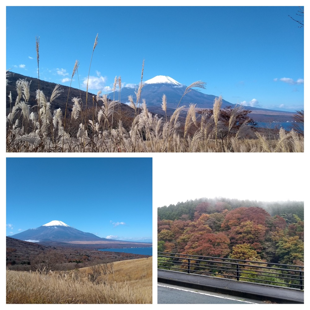 Autumn colours and Mt Fuji